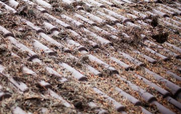 Mare Green roof cleaning companies