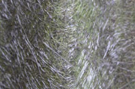 Mare Green fibreglass roof work